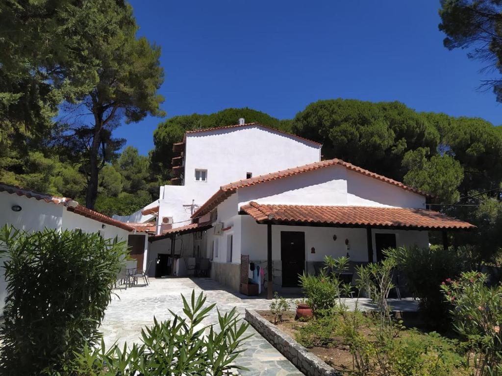 Villa Nikos Koukounaries Exterior foto